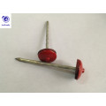 Colored Umbrella Head Galvanized Roofing Nails